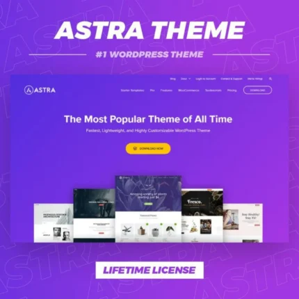 Astra Theme Growth Bundle